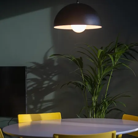 Toi Et Moi Downtown-guests Speek For Us! *