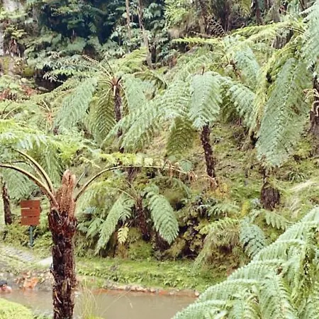 Toi Et Moi Downtown-guests Speek For Us! Lejlighed